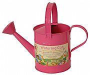 Watering Cans and Buckets  