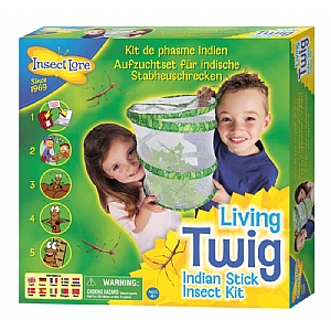 Indian Stick Insect Kit