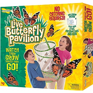 Large Childrens Butterfly Kit