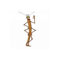Stick Insect Refill Voucher