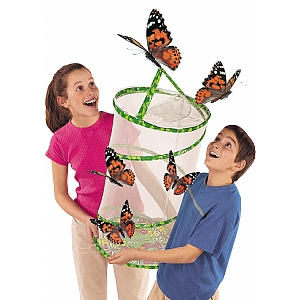 Classroom Butterfly Set for Schools and Nurseries