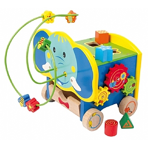 Elephant Activity Cube