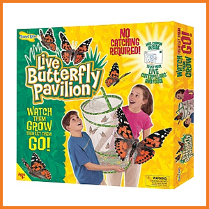 Large Butterfly Pavillion Set