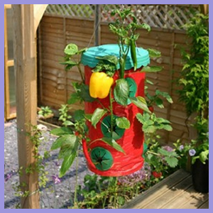 Let's Grow Hanging Planter