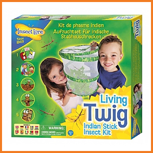 Stick insect kit