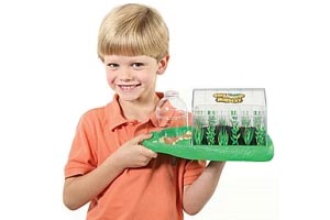 Childrens Worm Farm